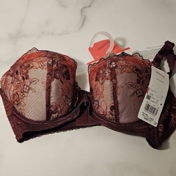 ワコール Wacoal ウイング Wing KB2721 後ろ姿きれいブラ